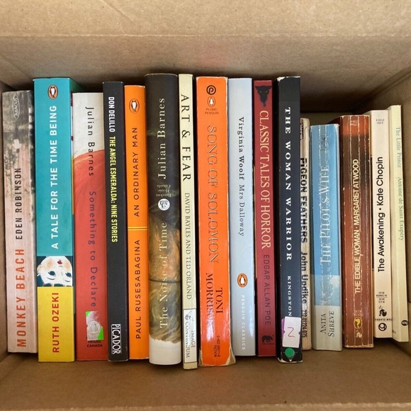 17 Paperback Books | Modern Vintage | Woolf, Updike, Delillo, Poe, Barnes, Ozeki - Picture 1 of 7